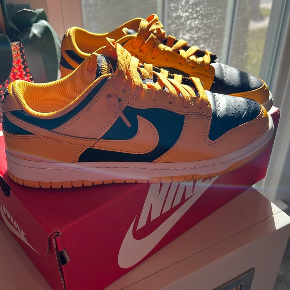 Nike dunks
